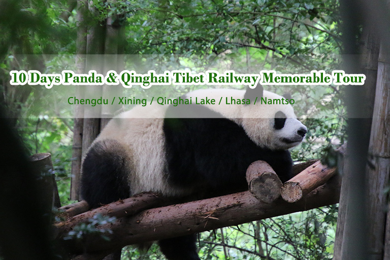 Tibet Tours 2024/2025
