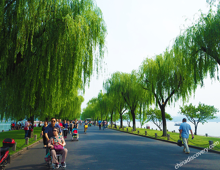 West Lake Biking Exeprience in Hangzhou How to Plan a Trip to Shanghai