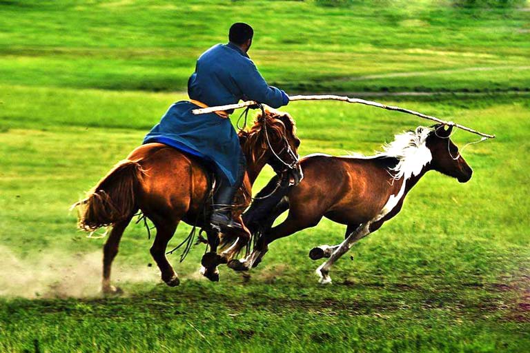 Nadam Fair in Summer China in July