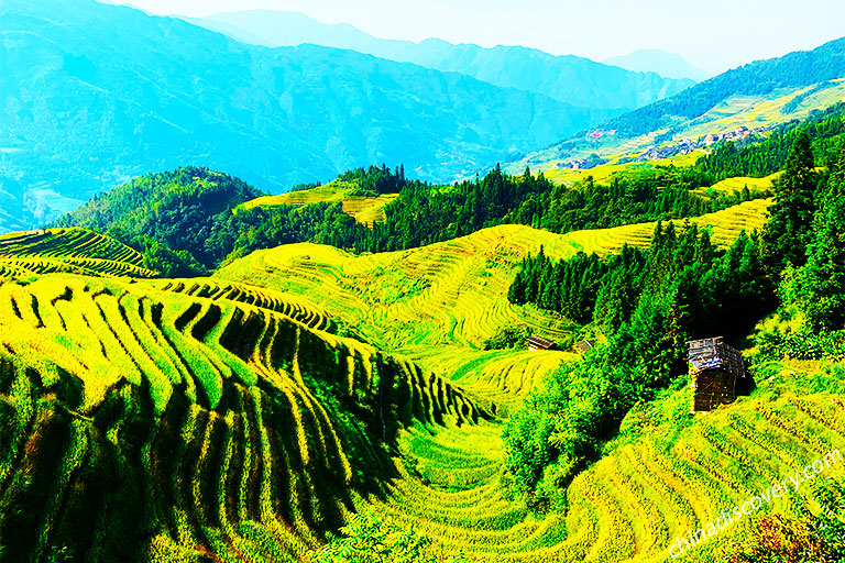 Wonderous Longji Rice Terraces Guilin