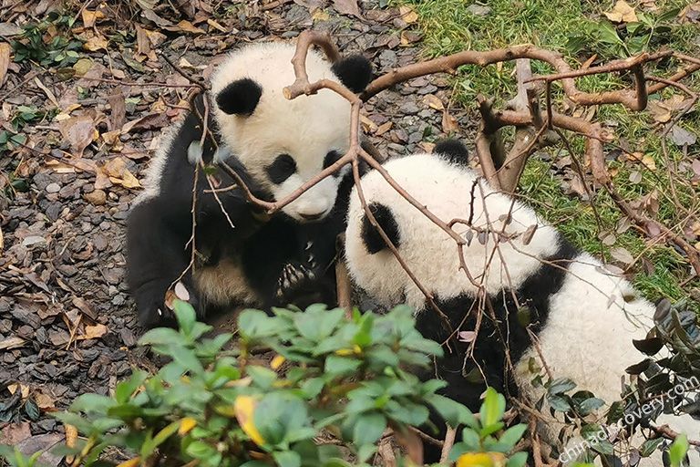 Top Chengde Tourist Attractions How To Plan A Trip To Sichuan: Sichuan Trip Planner