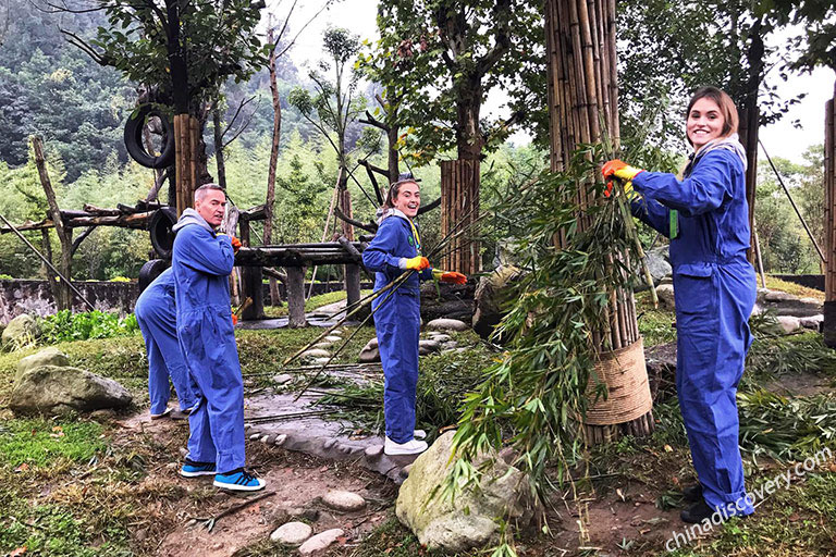 Dujiangyan Panda Loving Care