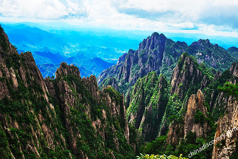Peculiar Pines and Extraordinary Rocks Guilin