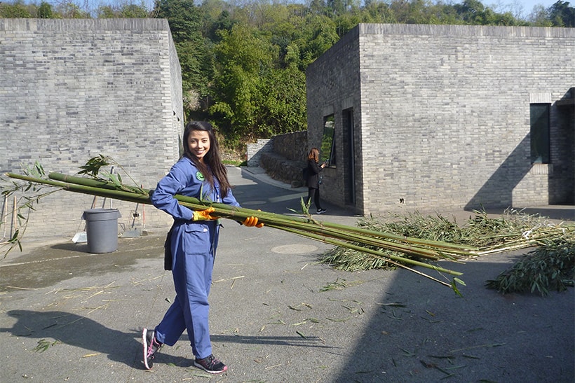 Top 15 China Things to Do 2025