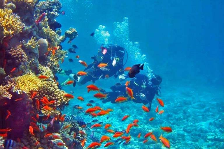 Diving in Wusongzhi Island in January Travel Sanya in January