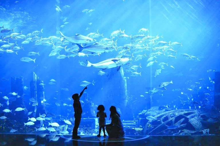 Visit Aquariums in Sanya in January Sanya Tour in January
