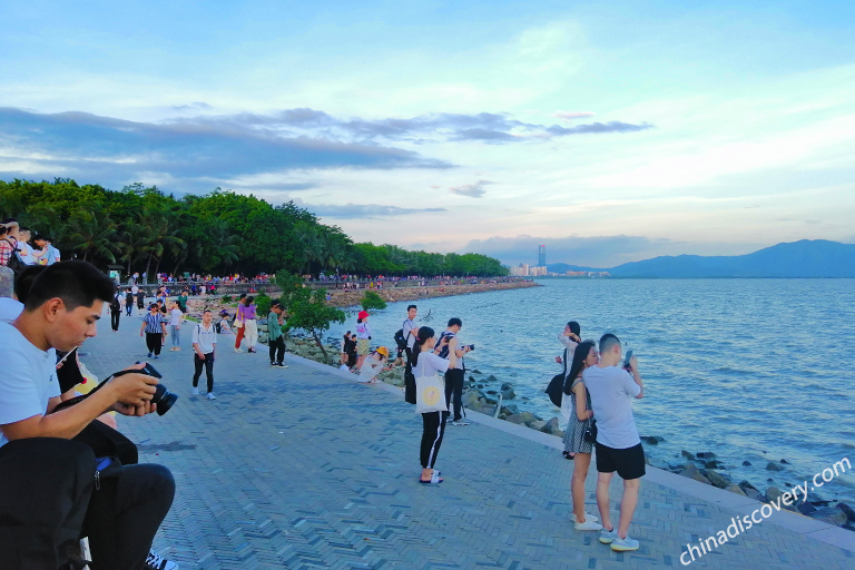 Shenzhen Bay Park Shenzhen Bay Park