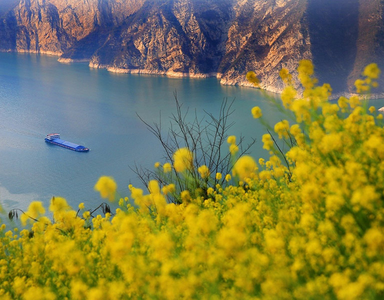 Cruise Ship Sailing through Three Gorges in Spring China in April