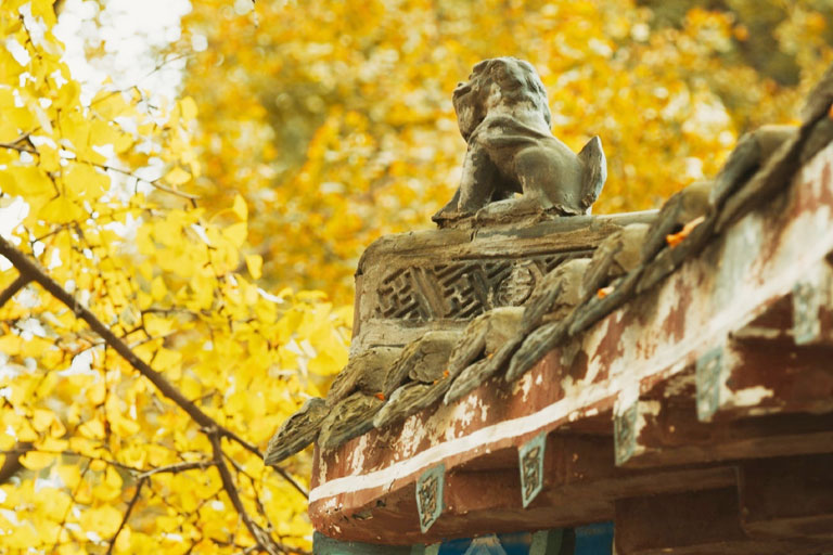 Wenshu Monastery in November China in November