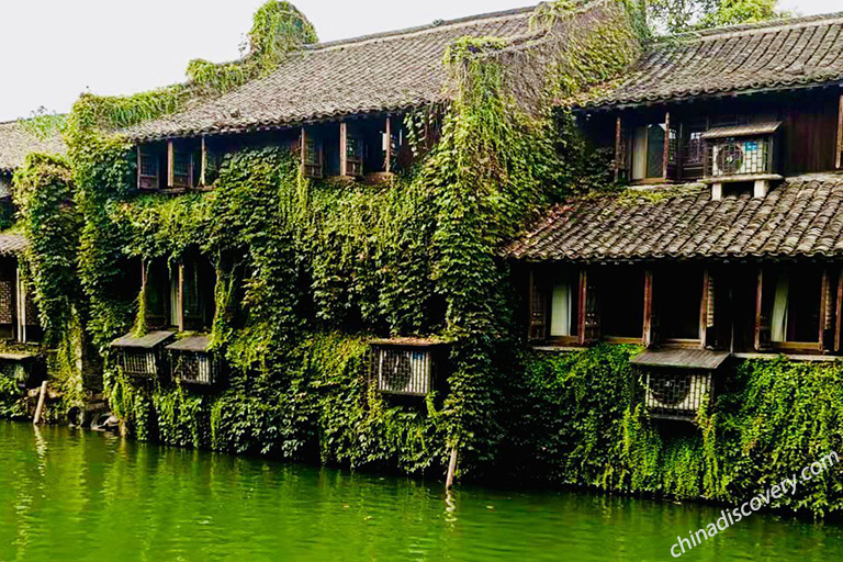 Xitang Water Town Xitang Water Town