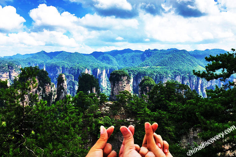 Towering Peaks in Zhangjiajie Zhangjiajie National Forest Park